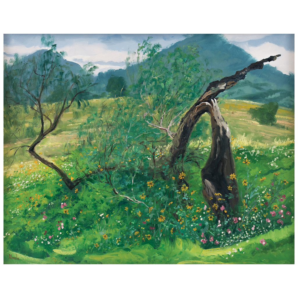 Morton's Auction House Descripción detallada Lote 146