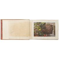 Full Catalogue Entry