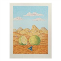 Full Catalogue Entry