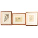 Full Catalogue Entry