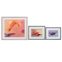 Full Catalogue Entry