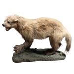 Full Catalogue Entry