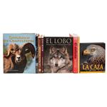 Full Catalogue Entry