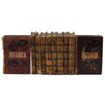 Full Catalogue Entry