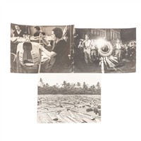 Full Catalogue Entry