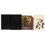 Full Catalogue Entry