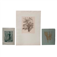 Full Catalogue Entry