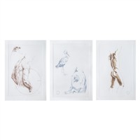 Full Catalogue Entry