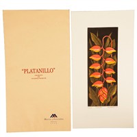 Full Catalogue Entry