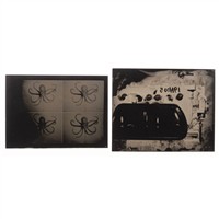 Full Catalogue Entry