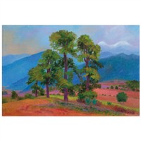 Full Catalogue Entry