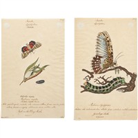 Full Catalogue Entry