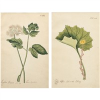 Full Catalogue Entry