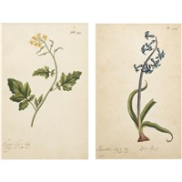 Full Catalogue Entry