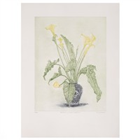 Full Catalogue Entry