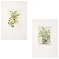 Full Catalogue Entry